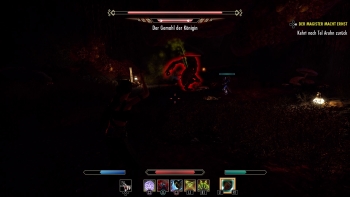 The Elder Scrolls Online: Morrowind Screenshot